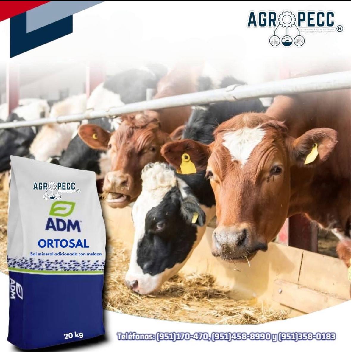 ORTOSAL - Sal mineral