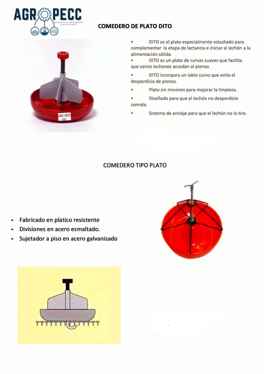 Comedero de Plato DITO